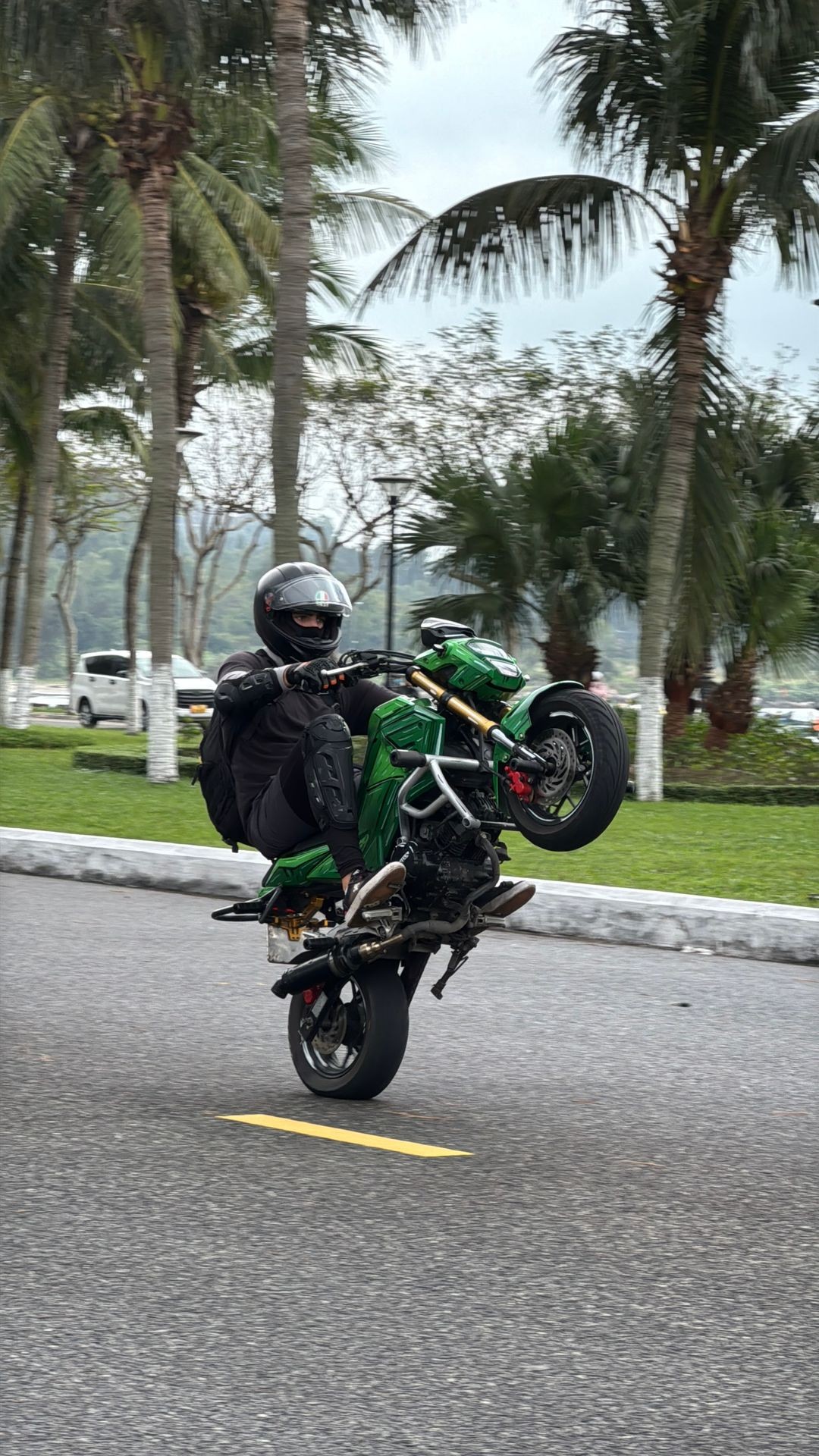 Person performing a wheelie on a green motorcycle on a palm tree-lined street.